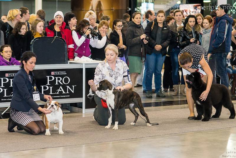 Фотография № 139134