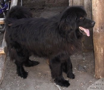 Фотография № 139150