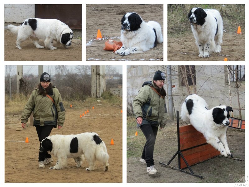 Фотография № 139159