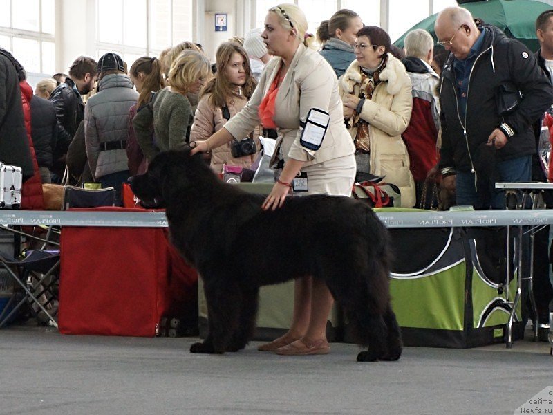 Фотография № 139165