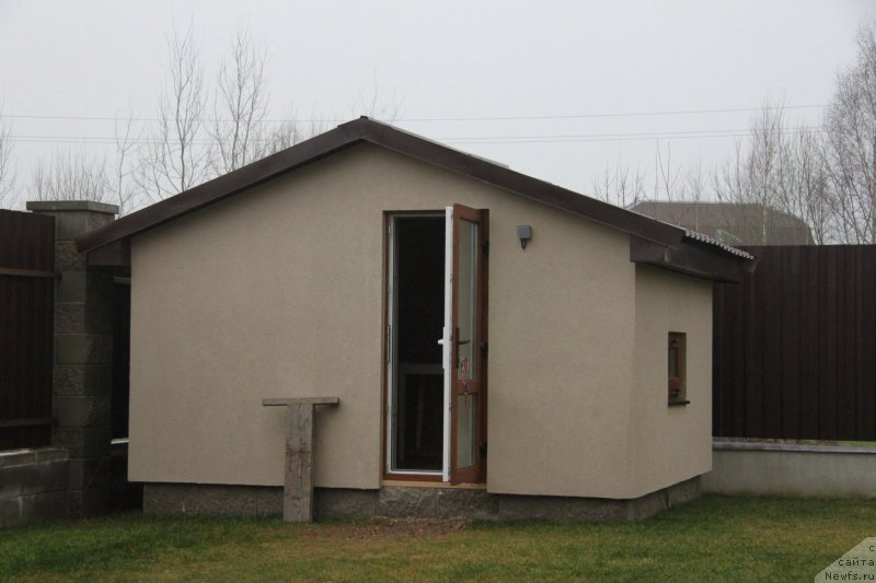 Фото: ньюфаундленд Akvian Song Montana (Аквиан Сонг Монтана)