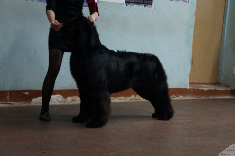 Фотография № 139192