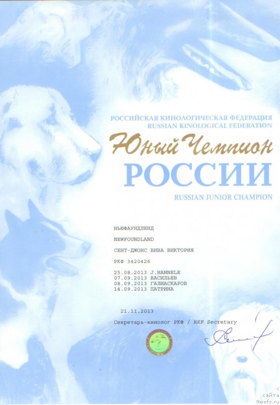 Фото: ньюфаундленд Sent Djons Viva Viktoria (Сент Джонс Вива Виктория)