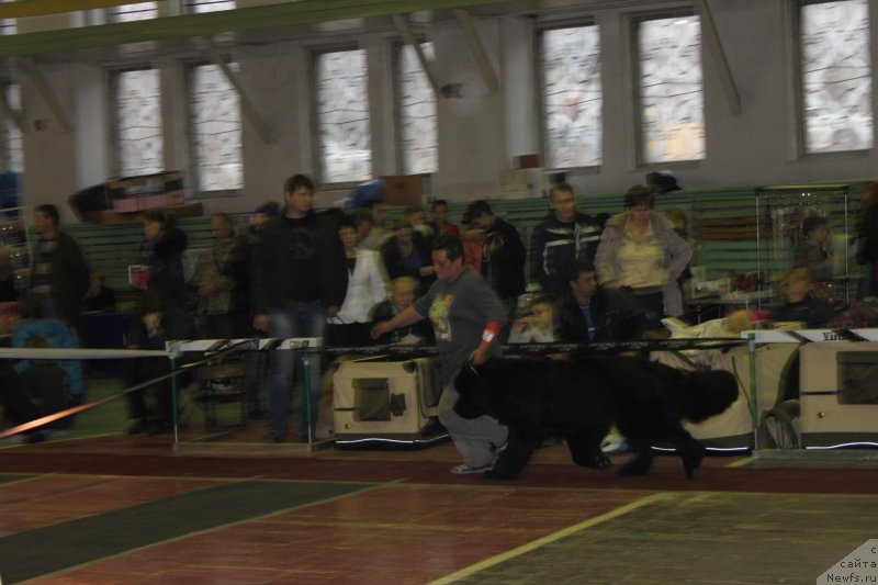 Фотография № 139202