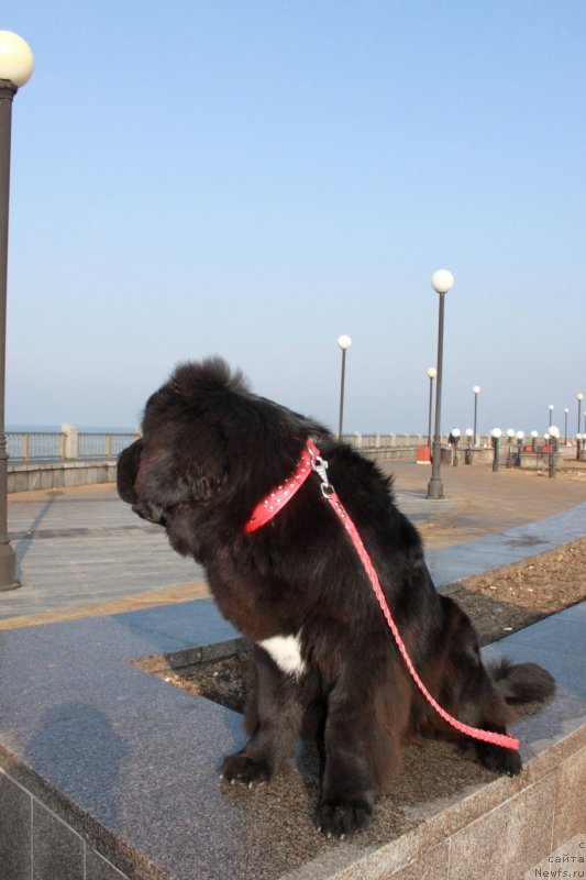 Фотография № 139207