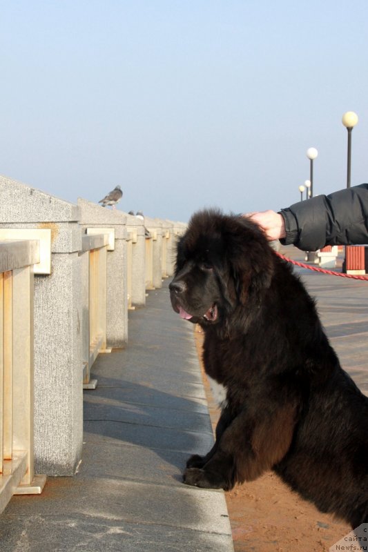 Фотография № 139209