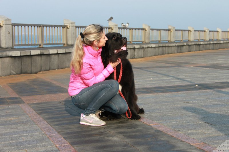 Фотография № 139211