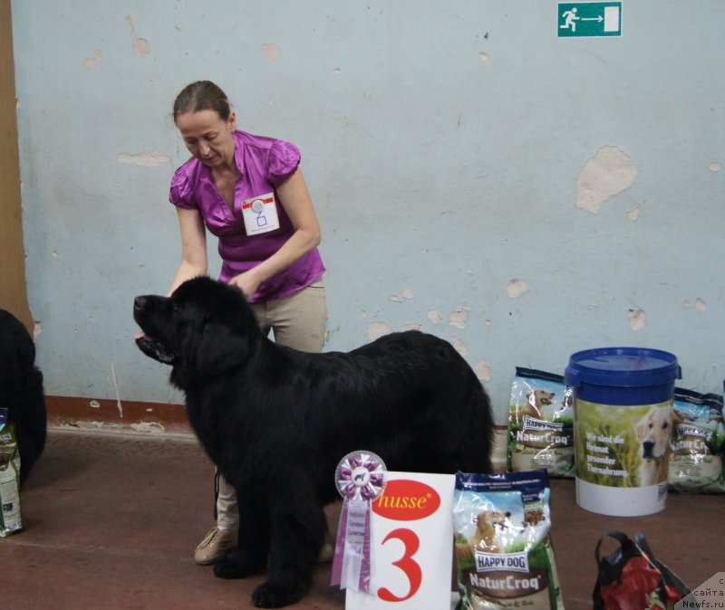 Фотография № 139217