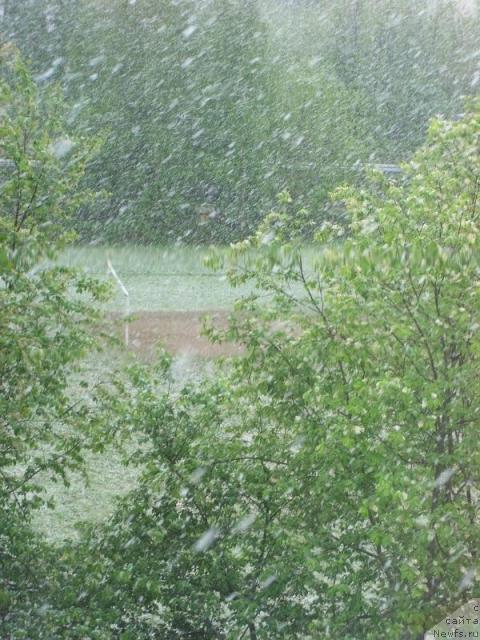 Фотография № 13922