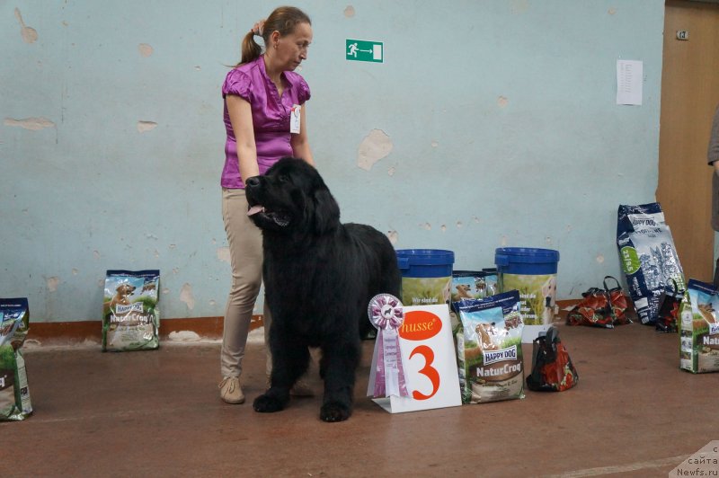 Фотография № 139220