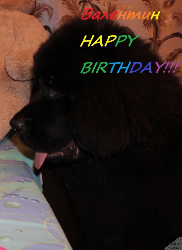 Фотография № 139234