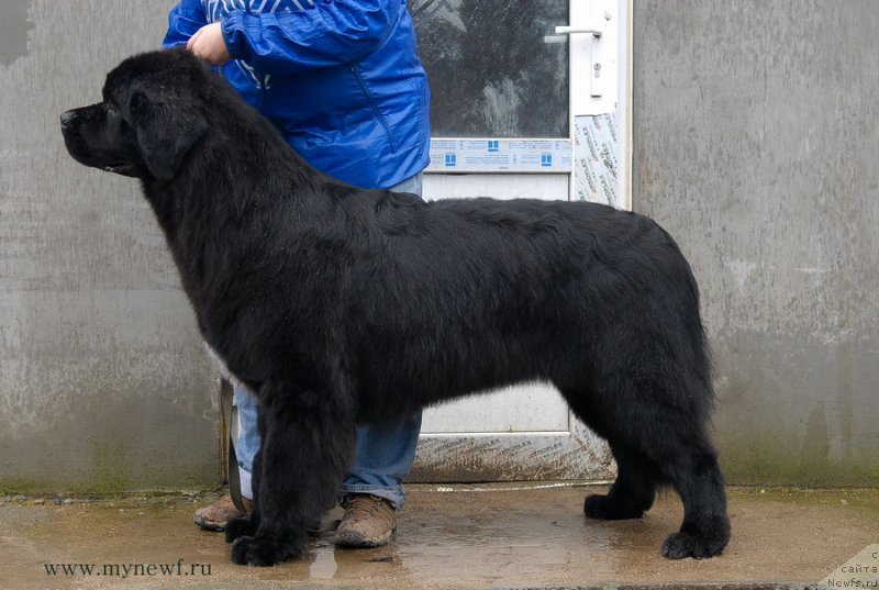 Фотография № 139243