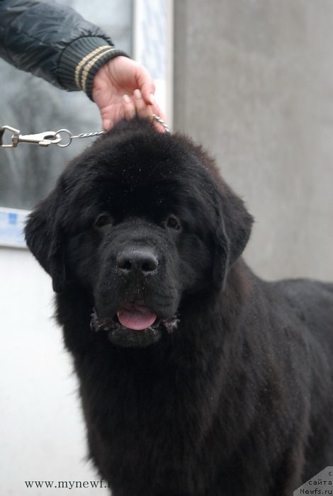 Фотография № 139244