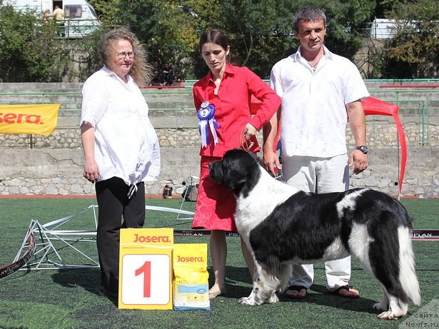 Фотография № 139246