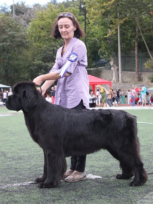 Фотография № 139250