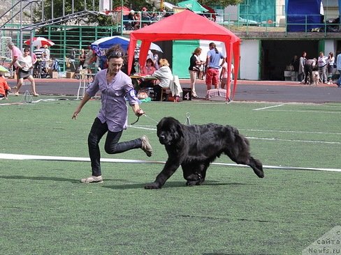 Фотография № 139251