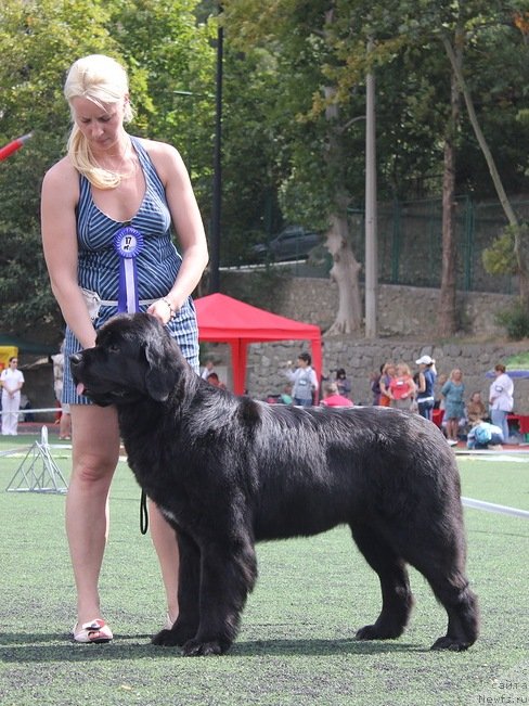 Фотография № 139258