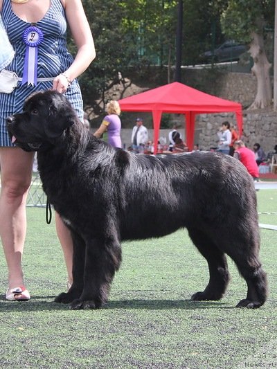 Фотография № 139259