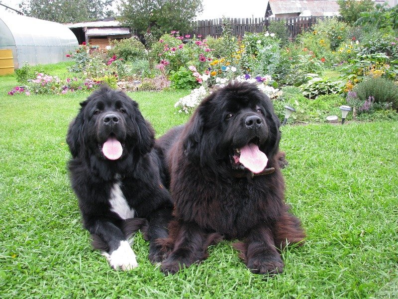 Фотография № 139321