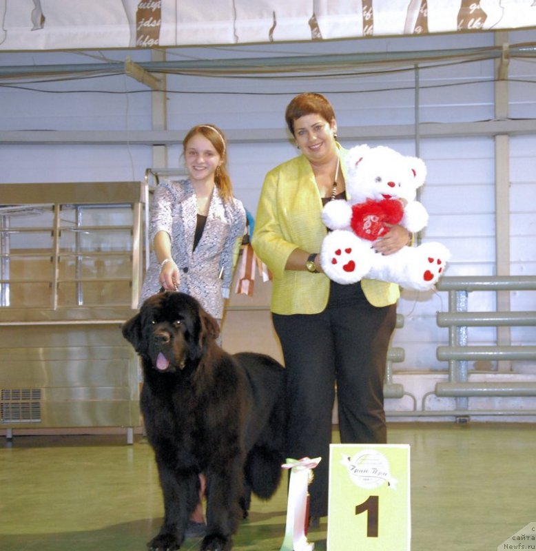 Фотография № 139339