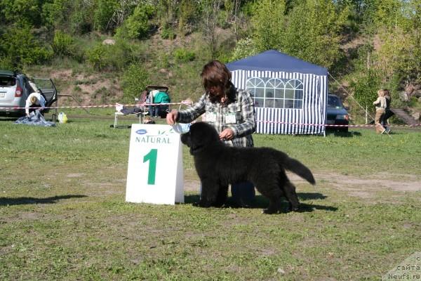 Фотография № 13935