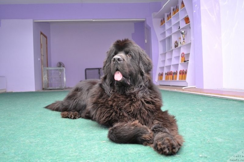 Фотография № 139385