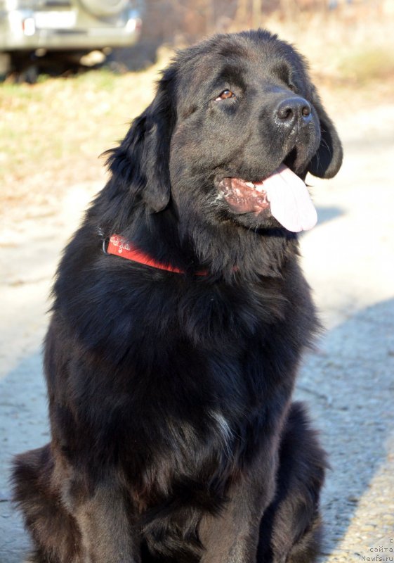 Фотография № 139388