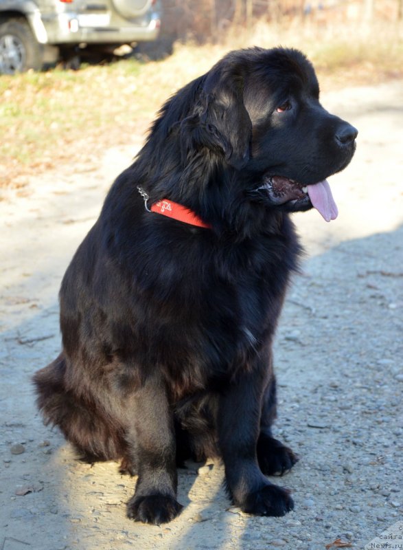 Фотография № 139390