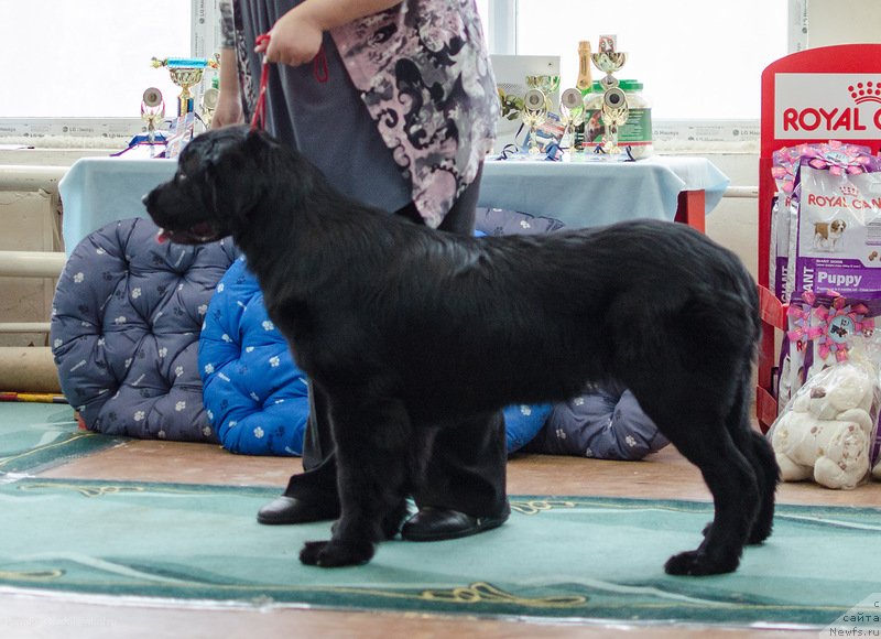 Фотография № 139399