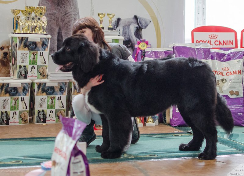 Фотография № 139400