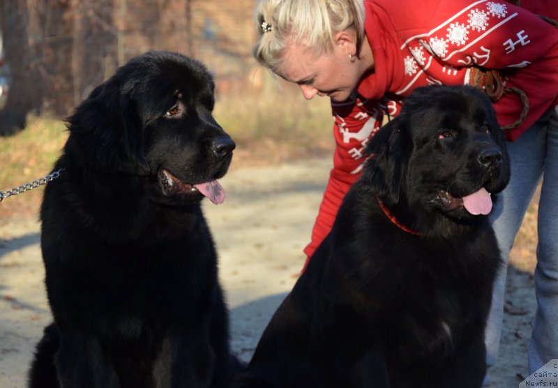 Фотография № 139401