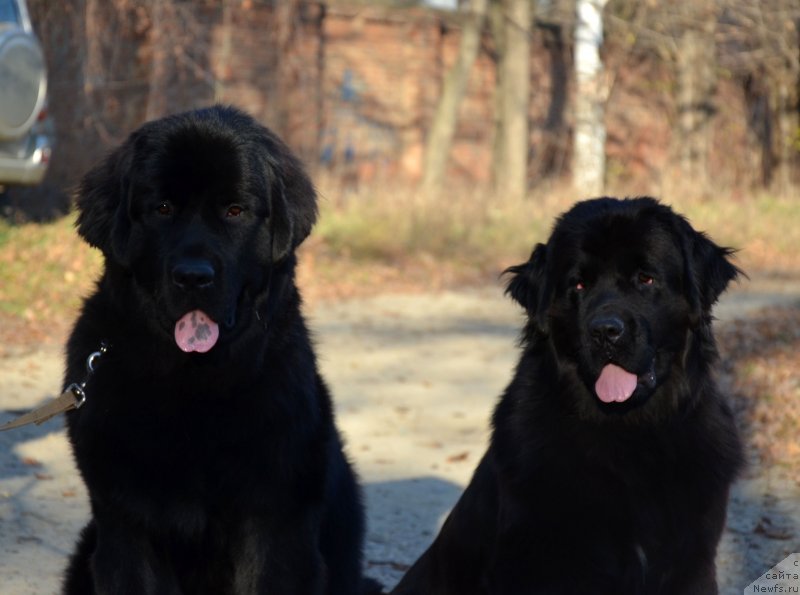 Фотография № 139404