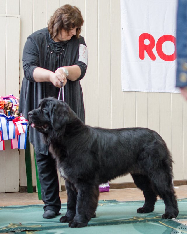 Фотография № 139405