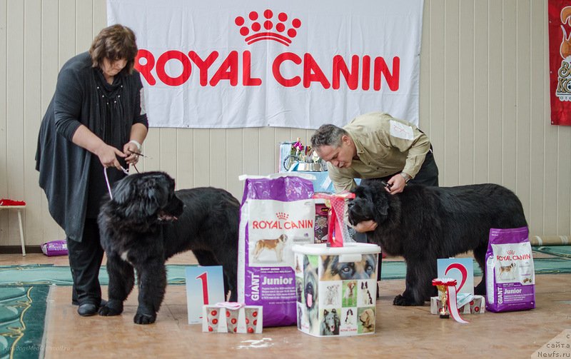 Фотография № 139407