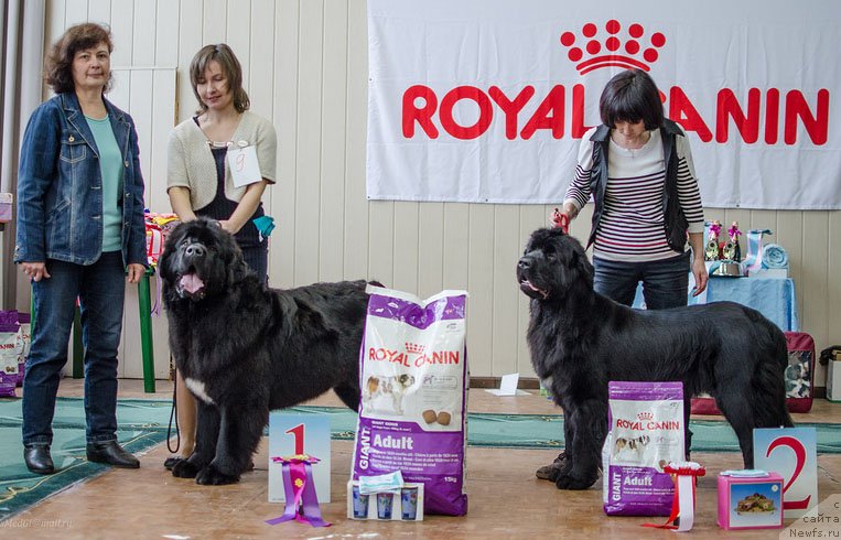 Фотография № 139409