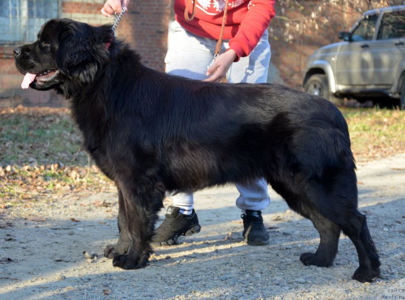 Фотография № 139412