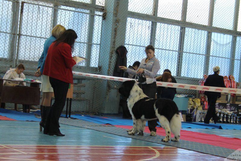 Фотография № 139415