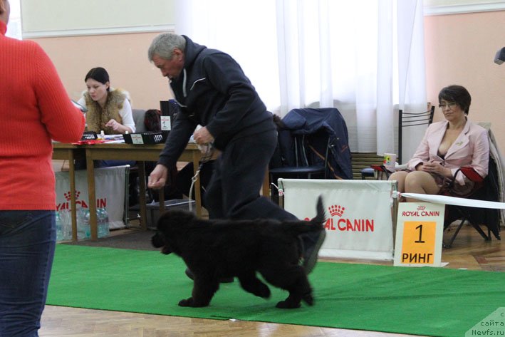 Фотография № 139433