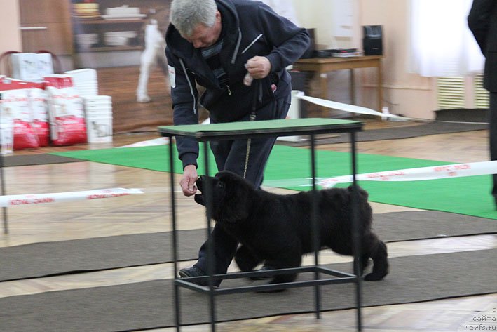 Фотография № 139434