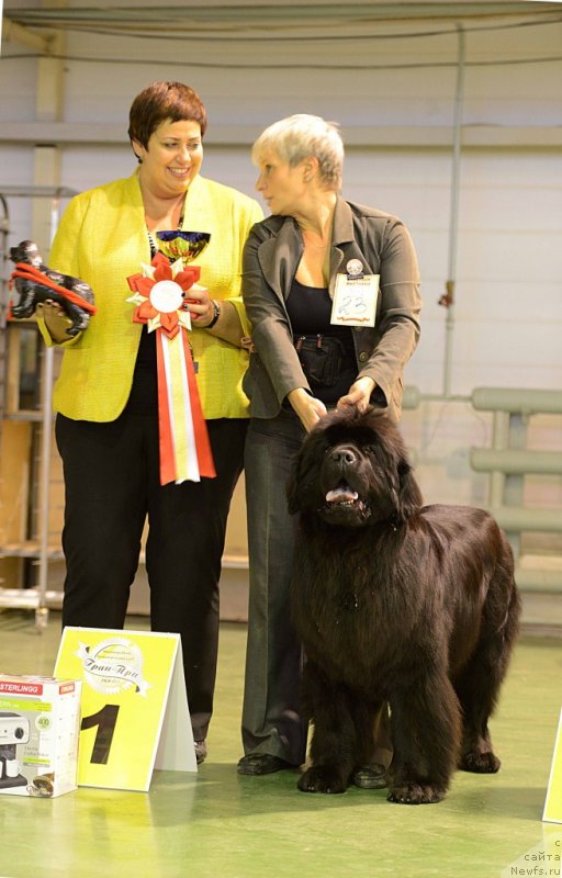 Фотография № 139454