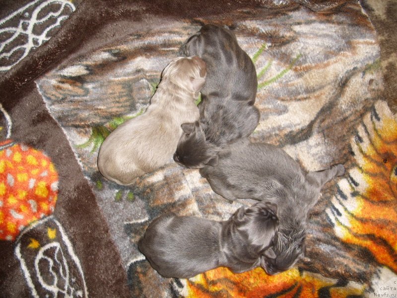 Фотография № 139507