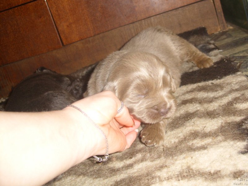 Фотография № 139510