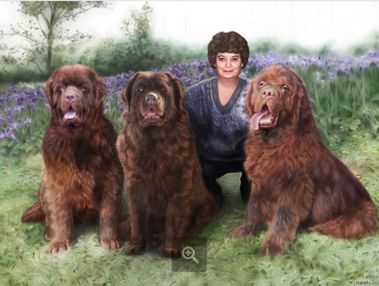 Фотография № 139511