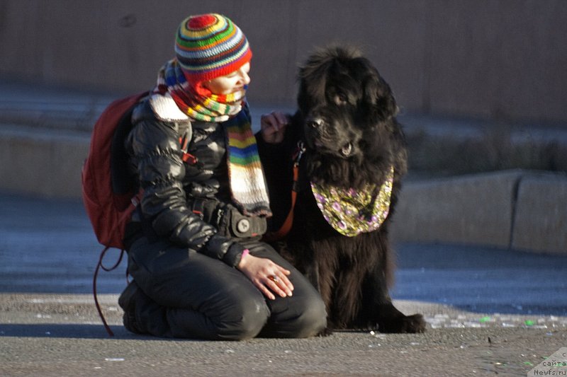 Фотография № 139582