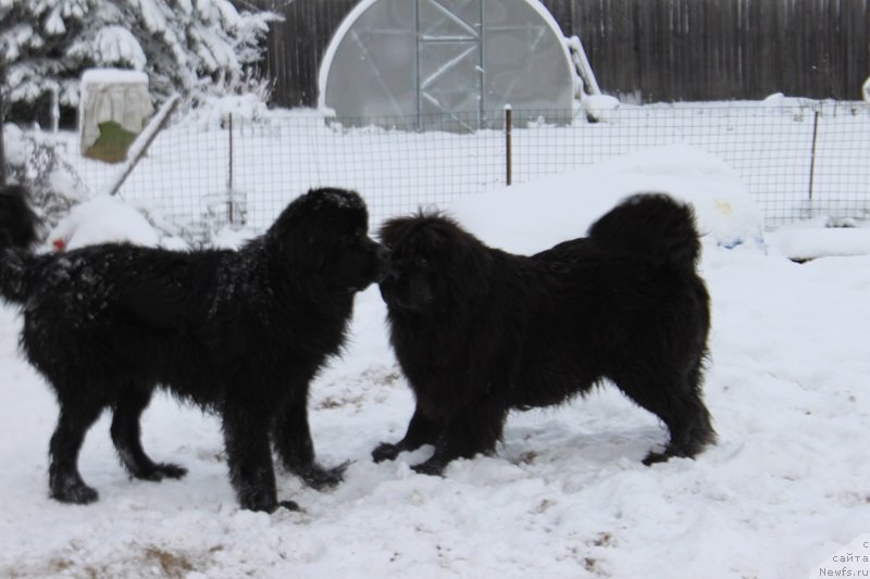 Фотография № 139616