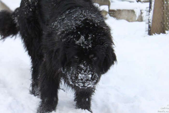 Фотография № 139619