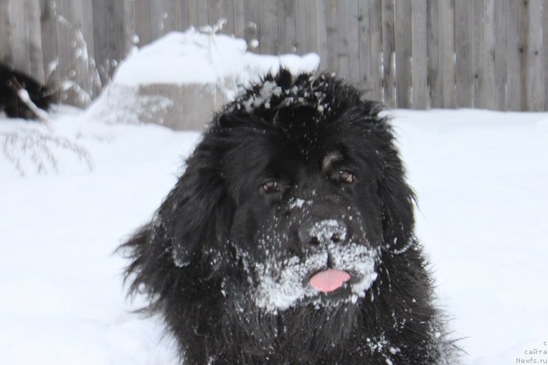 Фотография № 139620