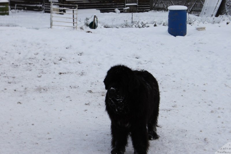 Фотография № 139621