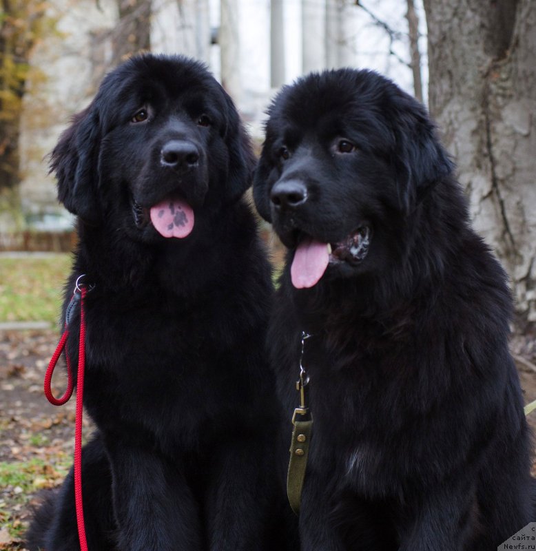 Фотография № 139635