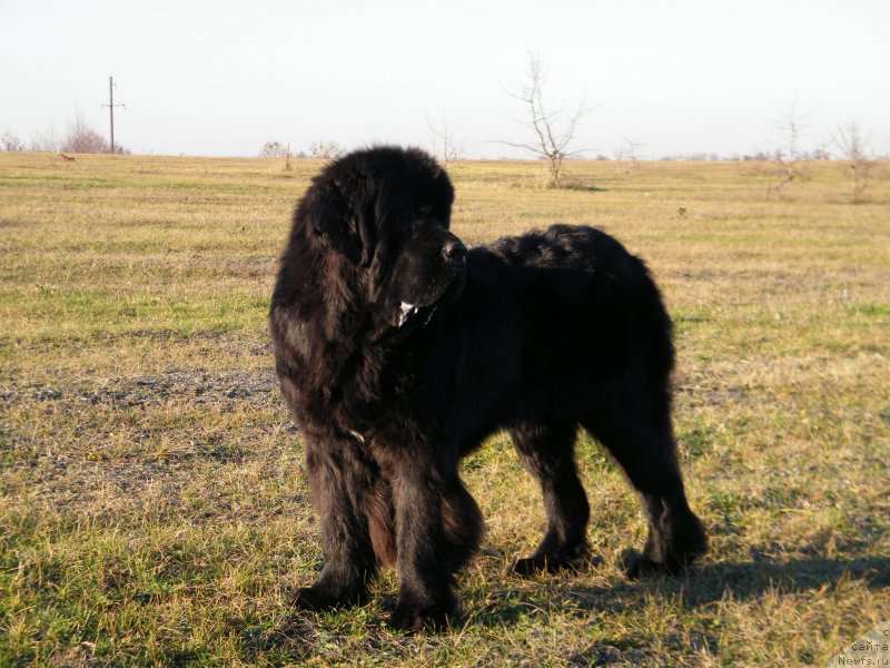 Фотография № 139653